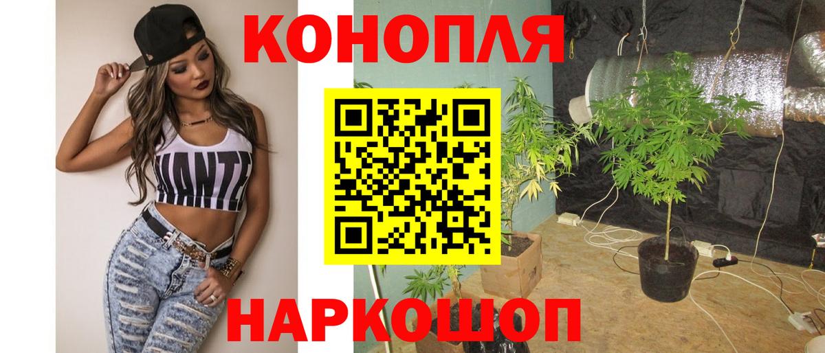 МАРИХУАНА OG Kush Тутаев